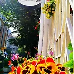 Boutique 4*