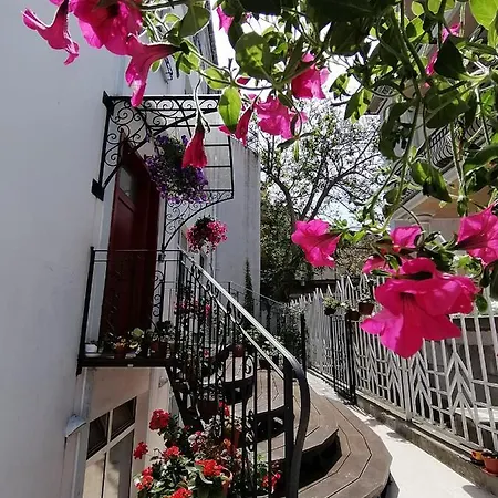 Guest house Boutique Varna