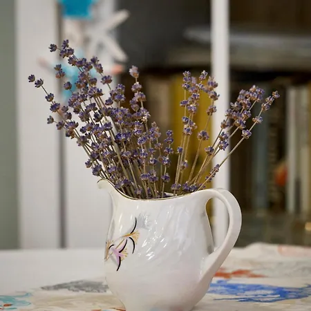 Penzion Boutique Varna