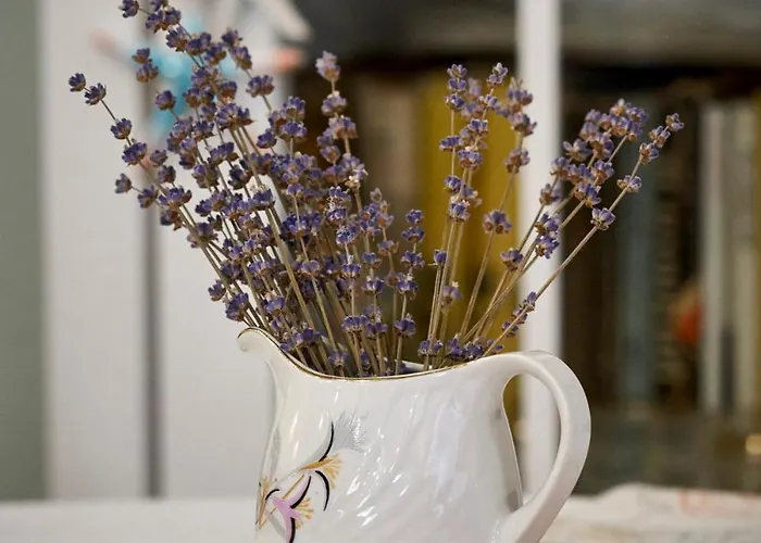 Affittacamere Boutique Varna